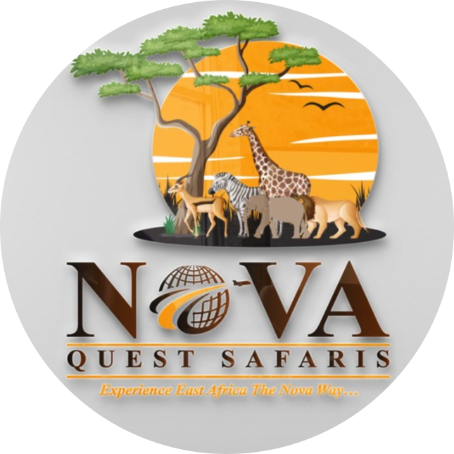NovaQuest Safaris Logo